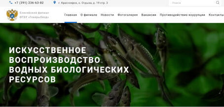 glavrybvod24.ru